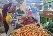 Setelah Melambung Beberapa Pekan, Harga Komoditas Cabai di  Solo Berangsur Turun