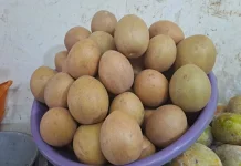 Mengenal Kandungan Vitamin Buah Sawo dan Manfaat Kesehatannya
