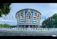 UMS Tempati Posisi 401-600 Dunia pada THE Sustainability Impact Ratings 2026