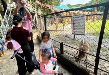 Pilihan Destinasi Wisata Favorit saat Liburan Anak Sekolah