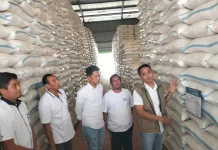 Bulog Gencar Serap Gabah Petani, Klaten Tembus 10.600 Ton Lebih