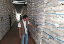 Cadangan Beras Bulog Solo Raya Cukup Aman, Penyerapan Gabah Terus Dilakukan