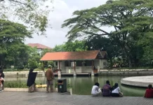 Taman Balekambang Jadi Alasan Suaraga Fest Digelar di Solo