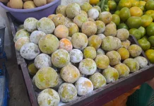 Buah Kesemek Kaya Nutrisi Menunjang Kesehatan Tubuh Optimal