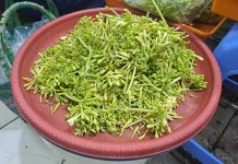 Kembang Kates Bernutrisi Menunjang Kesehatan Tubuh Alami Optimal