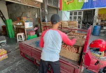 Harga Telur Ayam di Solo anjlok di harga Rp19.000 perkilogram