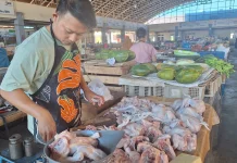 Dapur SPPG di Kota Solo Libur, Harga DagingAayam Ras Turun Drastis