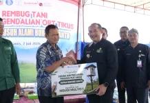 Tekan Hama Tikus, Pemkab Karanganyar Salurkan Bantuan 100 Rumah Burung Hantu