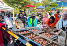 PINSAR Boyolali Berharap Pemerintah Bantu Stabilisasi Harga Telur dan Ayam
