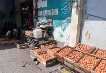 Harga Telur Ayam di Kota Solo Mulai Merangkak Naik