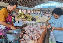 Dapur SPPG di Kota Solo Libur, Harga Daging Ayam Ras Turun Drastis
