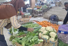Dapur SPPG Libur, Harga Sayur Mayur di Kota Solo Alami Penurunan Signifikan