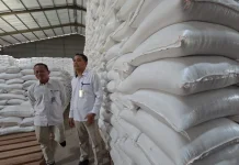 Bulog Surakarta Jamin Kualitas Beras di Gudang Sragen Bebas Hama, Ini Rahasianya