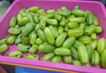 Belimbing Wuluh Asam Menyimpan Manfaat Alami Bagi Kesehatan