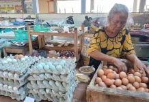 TPID Solo Pantau Fluktuasi Harga Telur dan Daging Ayam