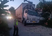 Pohon Tumbang Timpa Truk di Tanon Sragen, Arus Lalu Lintas Sempat Terhambat