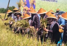 Revitalisasi Koperasi dan Bukan Swasembada Fiksi