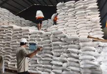 Rekor Stok Beras 5,4 Juta Ton, antara Euforia Swasembada dan Ujian Kualitas Bulog