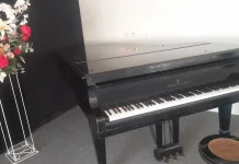 Piano Klasik yang Legendaris, Simbol Keindahan Musik Sepanjang Masa