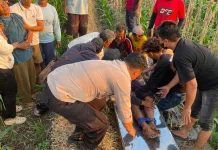 Lagi-Lagi Terjadi di Sragen, Seorang Petani Ditemukan Tewas di Lahan Pertanian