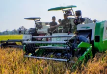 Panen Raya Terintegrasi, Desa Gaum Karanganyar Jadi Saksi Sinergi 3 Matra TNI