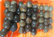 Rahasia Lezat Telur Puyuh Pindang