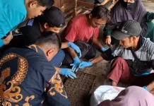 Tim UMS Ajak Penyandang Disabilitas Praktik Vermikompos Secara Langsung