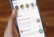 Kepribadian Bisa Dilihat dari Cara Membuat Status WhatsApp