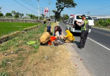 Hilang Kendali usai Rem Mendadak, Pemuda Jaten MD Tabrakan di Jalan Sragen-Ngawi