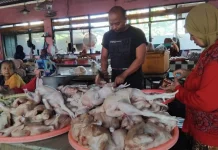 Daya Beli Turun Buat Telur Anjlok, Harga Daging Ayam Justru Naik di Karanganyar