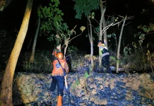 Sinergi Cepat Padamkan Kebakaran Lahan Perbukitan Sidoharjo Wonogiri