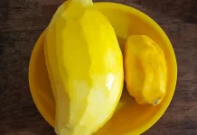 Manisnya Buah Mangga: Kelezatan Tropis yang Kaya Manfaat