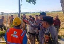 Buruh Tandur di Plupuh Sragen Tewas Tersetrum Tiang Kabel Sumur Sible