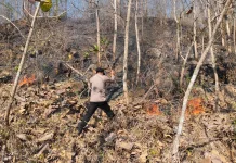 Respons Cepat Pastikan Hutan Gemawang Aman Dari Kebakaran