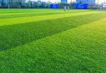 Cek Aturan Rumput Lapangan Sepak Bola, Ini Ketentuannya