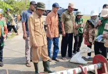Dispertan Sukoharjo Mulai Menggunakan Metode PMAAS, Tanam Padi tanpa Disemai