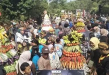 Kirab Merti Bumi Merapi Meriah, 14 Gunungan Diperebutkan Pengunjung Kalitalang
