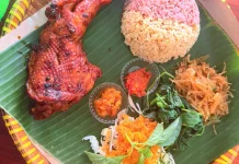 Kenapa Nasi Merah dan Tiwul Cocok Jadi Menu Makan Siang?