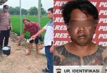 Curanmor di Persawahan Miri Digagalkan, Sepeda Motor Korban Selamat