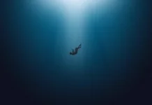 Mengenal Thalassophobia Lebih Dekat