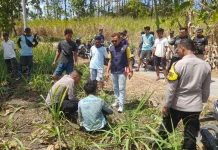 Nestapa, Demi Menghidupi Bayi Pria di Jenar Sampai Mencuri Jagung, Kasus Dimediasi