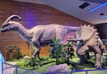 Operasional Museum Tahir Diperkirakan Rp900 Juta, Pemkot Optimistis Tambah PAD