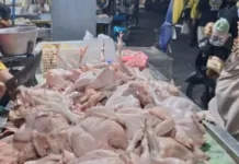 Harga Daging Ayam Naik, Permintaan Meningkat jelang Perayaan HUT Kemerdekaan
