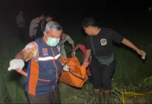 Petani di Sambungmacan Sragen Ditemukan Meninggal Dunia di Pematang Sawah