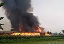 Diduga Korsleting Listrik, 15 Ribu Ayam Ludes Terbakar di Boyolali