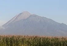 Merapi Berdiri Gagah, Menjadi Lukisan Alam di tengah Hamparan Ladang