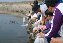 Jaga Ekosistem, Pemkab Karanganyar Tebar 15 Ribu Benih Ikan