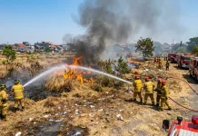 Kebakaran di Solo Capai 106 Kejadian, Lahan Kosong Terbanyak