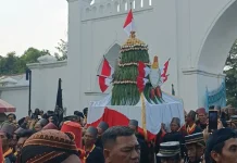 Gunungan Sekaten Keraton Surakarta Jadi Rebutan, Warga Berburu Berkah Keraton