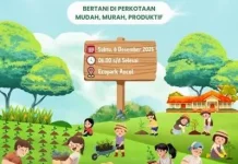 Ketahanan Pangan dari Rumah, Urban Farming Kian Didorong di Kota Surakarta